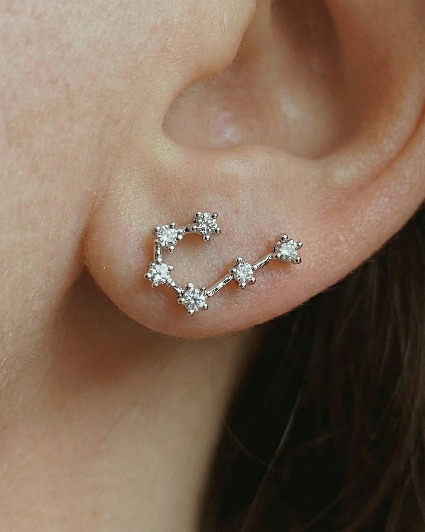 Zodiac Constellation Stud Earrings Waterproof