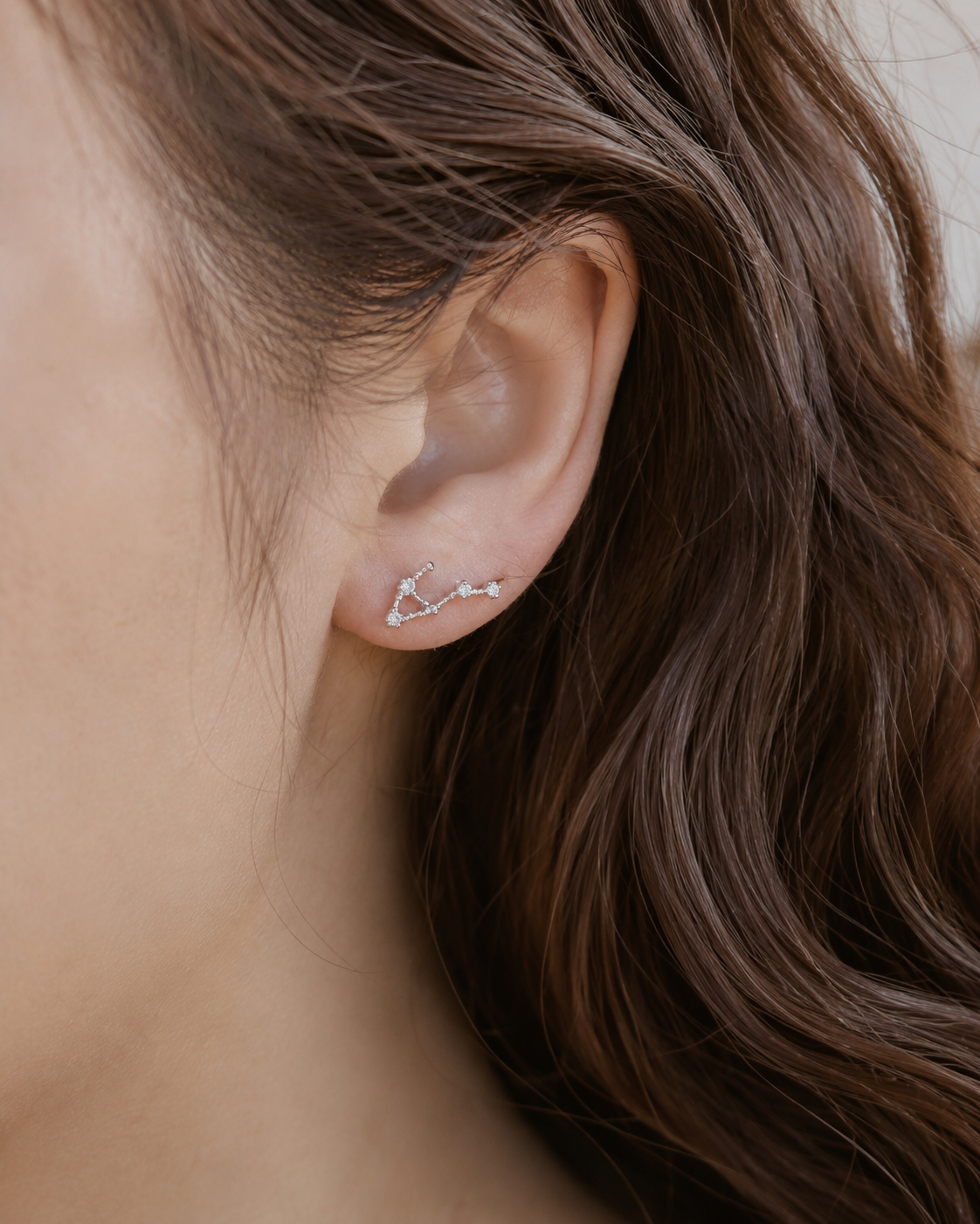 Zodiac Constellation Stud Earrings 925 Silver