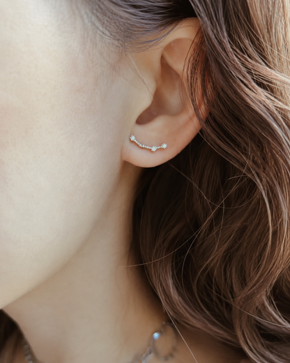 Zodiac Constellation Stud Earrings 925 Silver